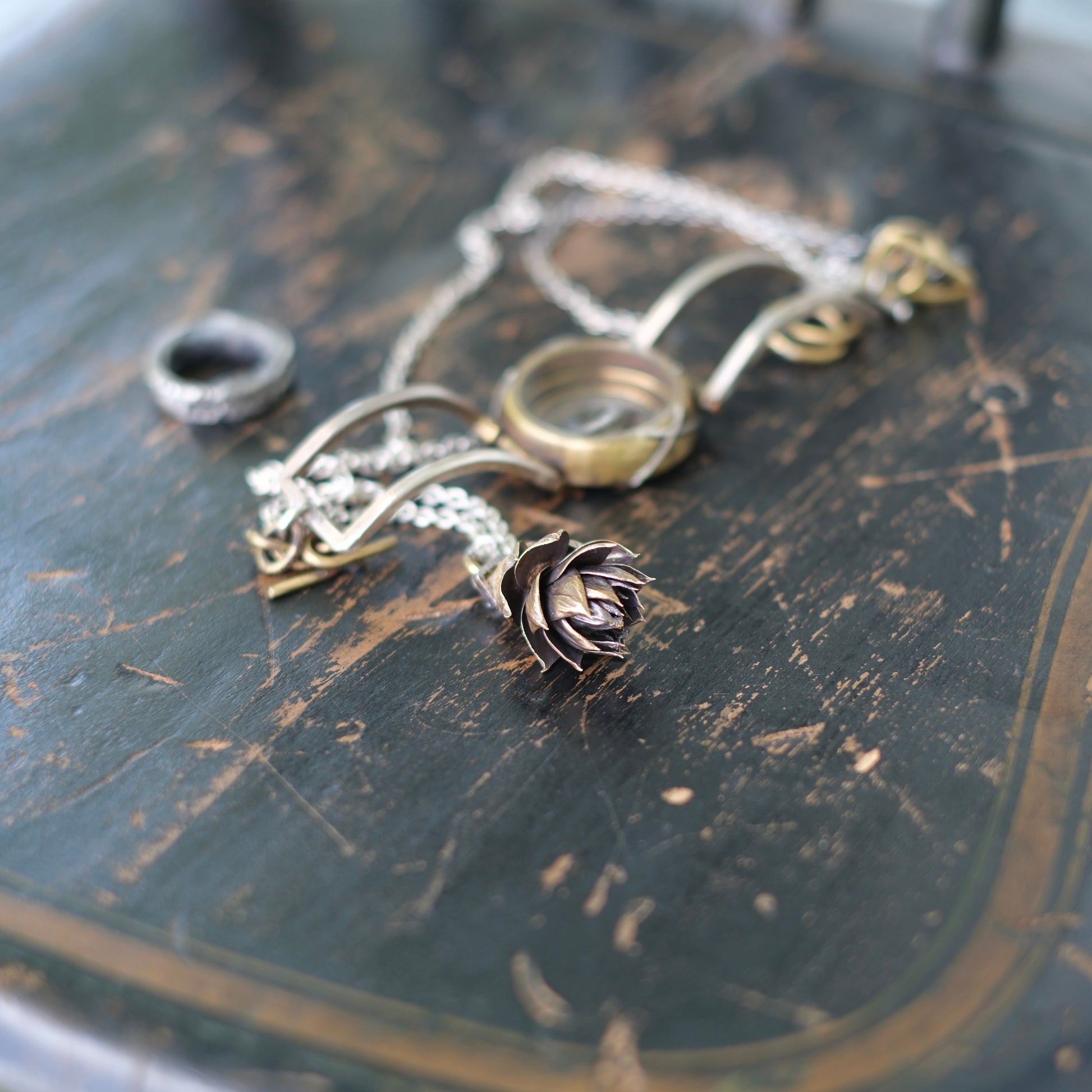 succulent charm Succulent Charm – TACET